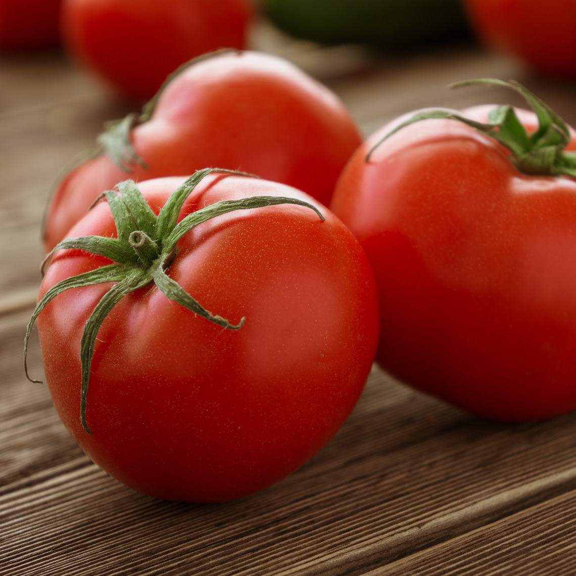Tomates rondes Bio